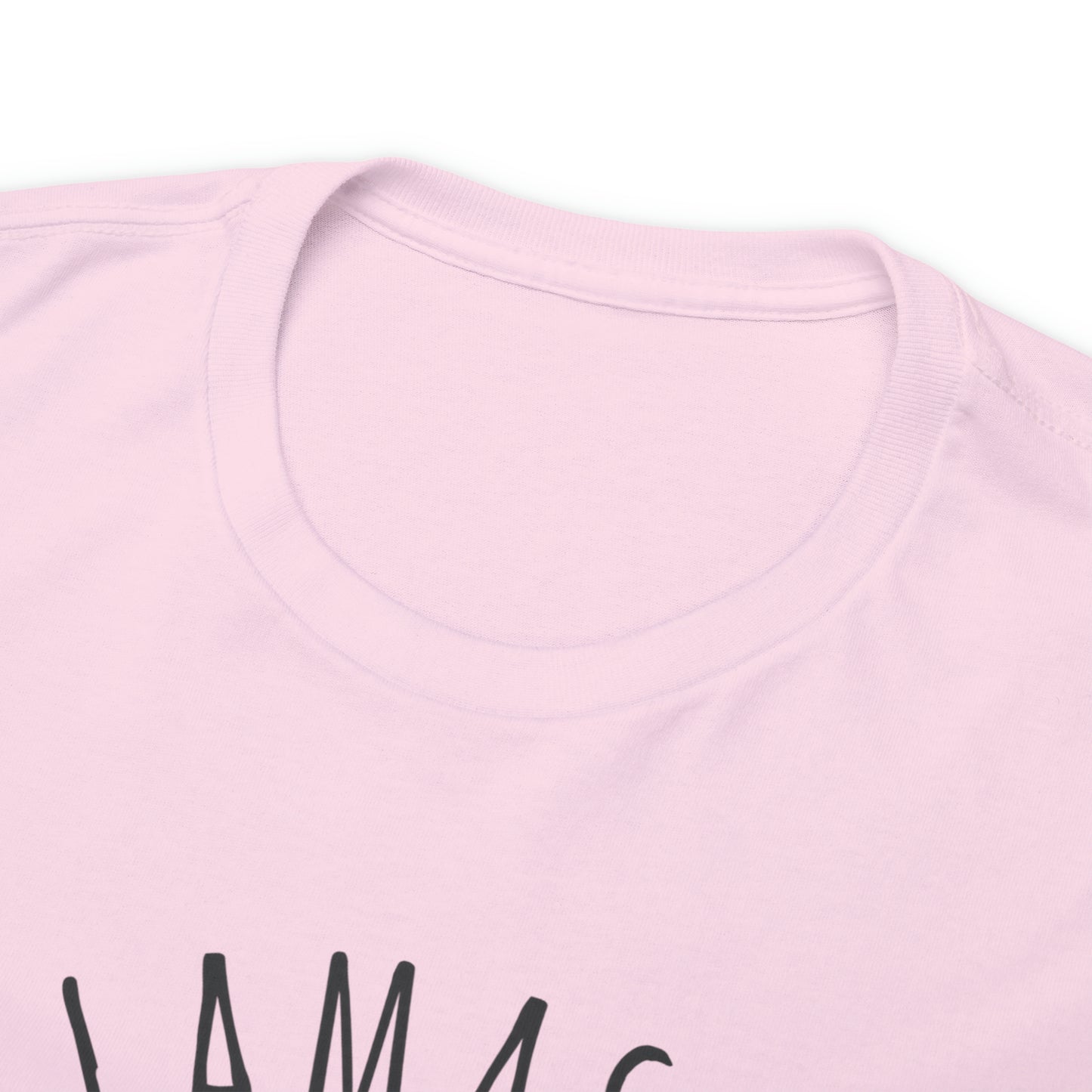 Llamaste Unisex Heavy Cotton Tee