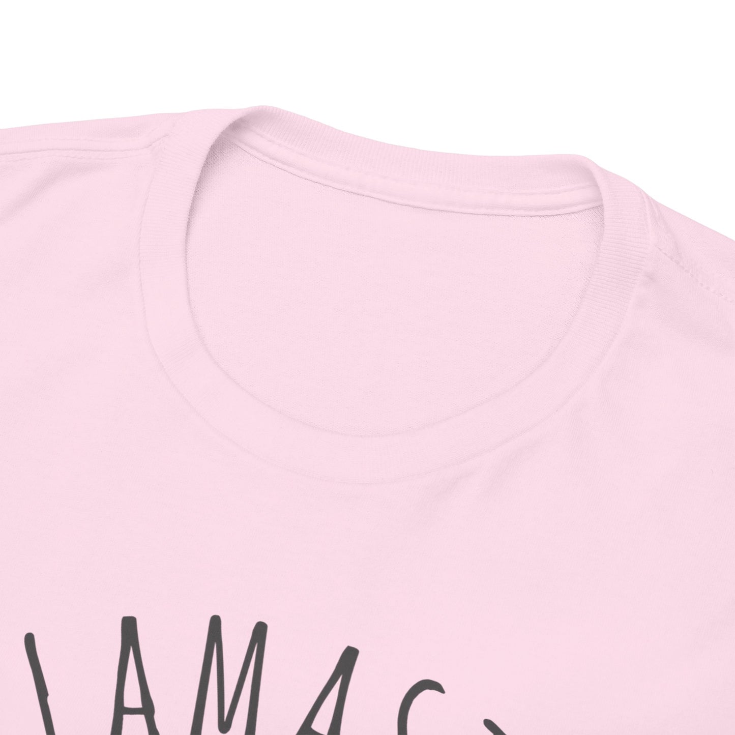 Llamaste Unisex Heavy Cotton Tee