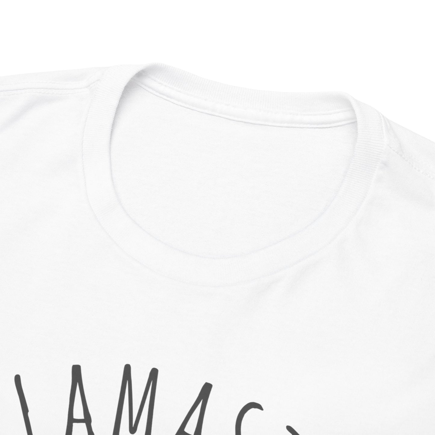 Llamaste Unisex Heavy Cotton Tee
