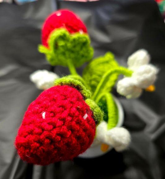 Crochet Strawberry Plant Pot